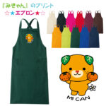 みきゃんさん専用 みきゃん【公式】《愛媛県イメージアップキャラクター